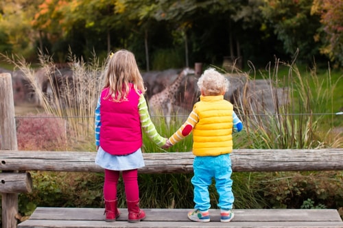 Where & How To Buy Plastic-Free Toys For Your Child experience